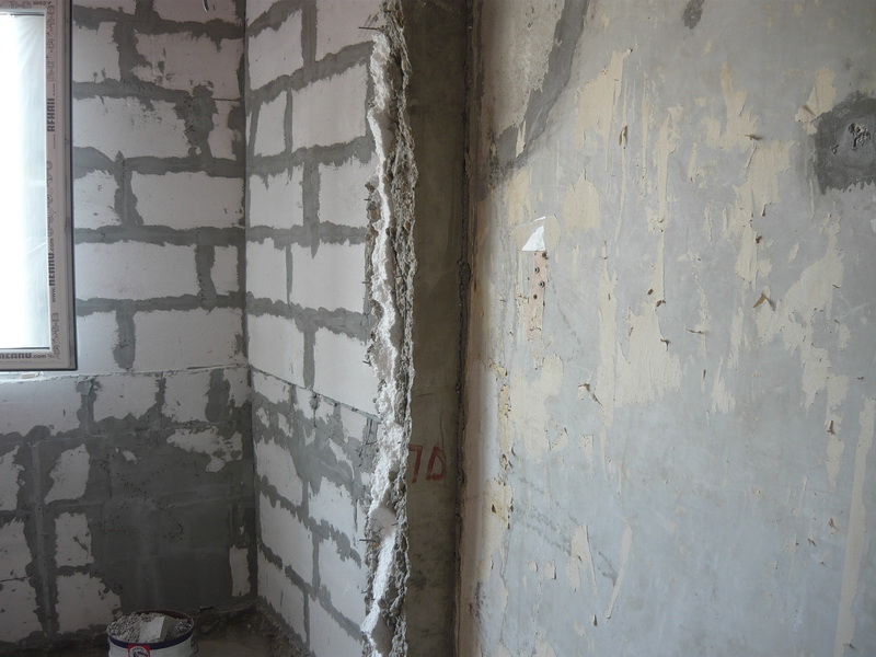 къртач (7).jpg