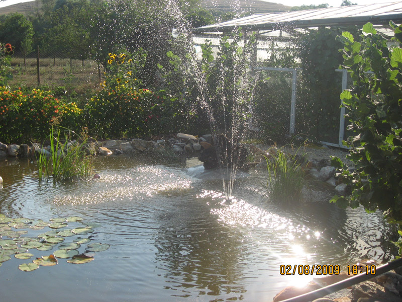 picture_3431_513.jpg