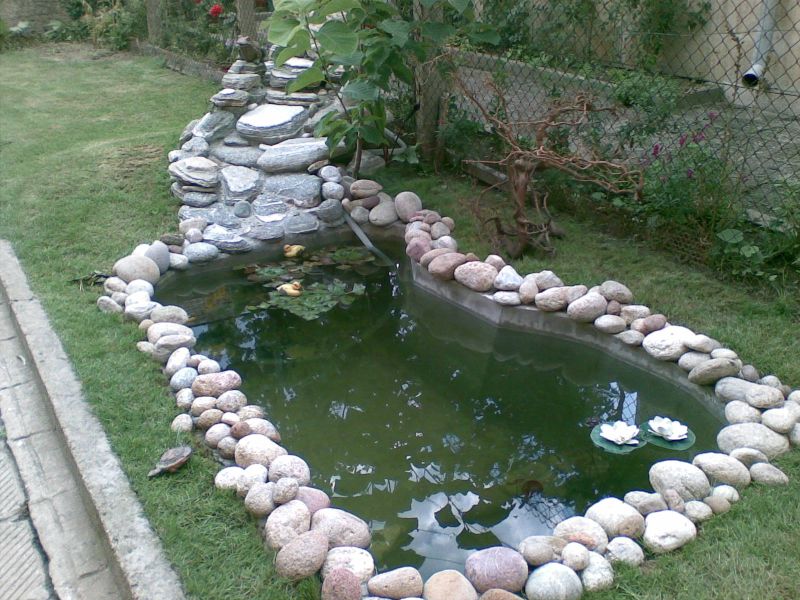 14544_1217493849.jpg_123.jpg