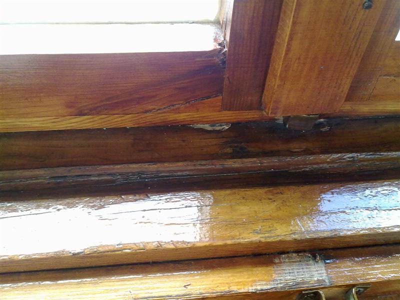 14032010186 (Medium).jpg