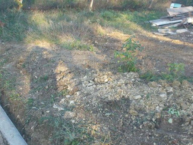 DSC04491.JPG
