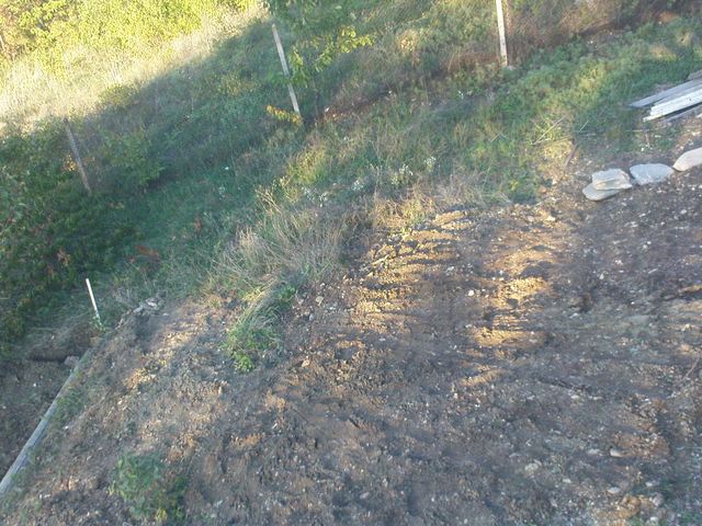 DSC04490.JPG