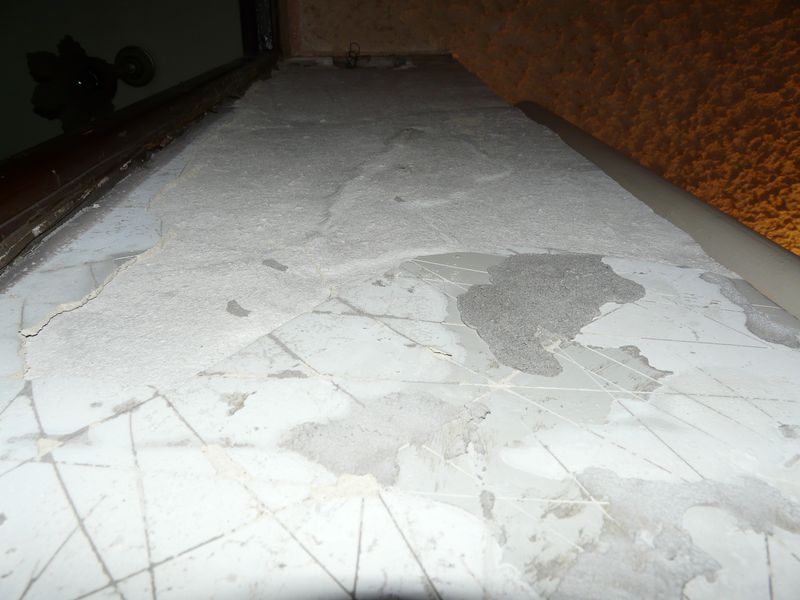 P1050856.JPG