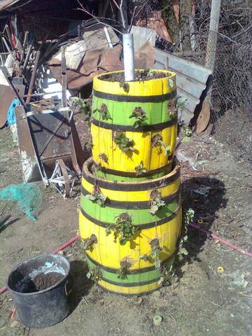 Resize of Изображение0008.jpg