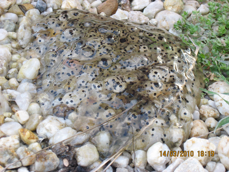 Picture 942.jpg