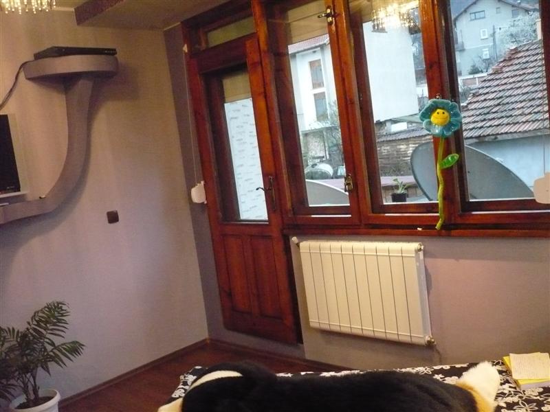 P1030375 (Medium).JPG