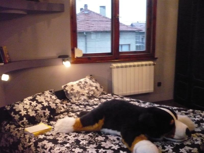 P1030376 (Medium).JPG