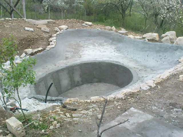 DSC00433.jpg
