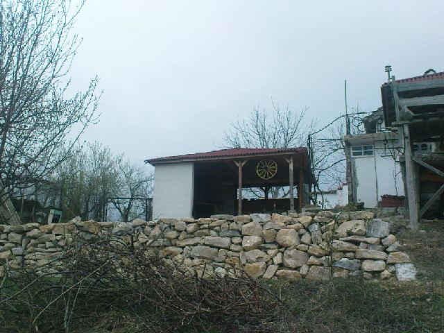 DSC00353.jpg