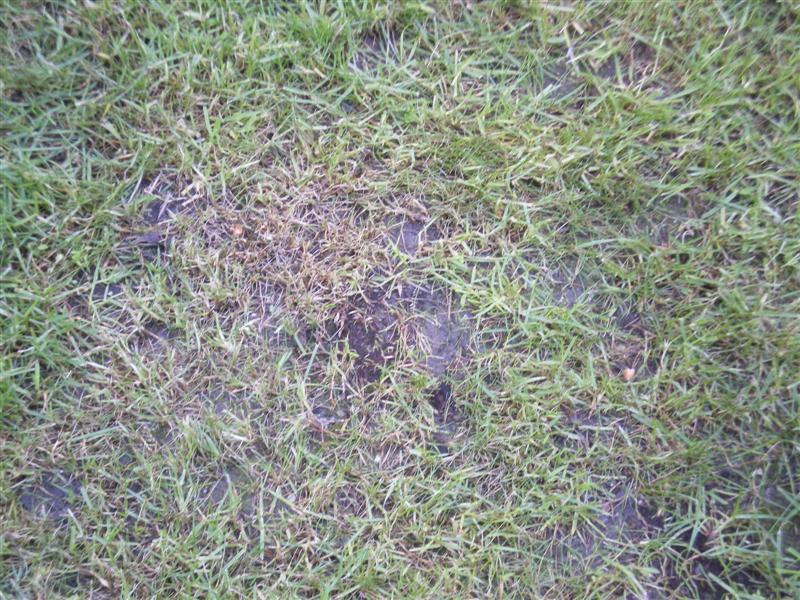 IMGP3344 (Medium).JPG