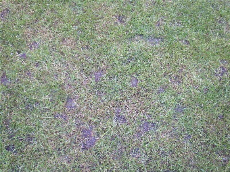 IMGP3342 (Medium).JPG