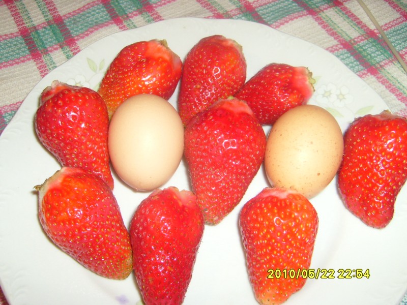 S7004813 [800x600].JPG