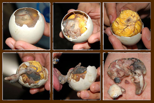 13316-balut_ahead_taste_asian_delicacy.jpg
