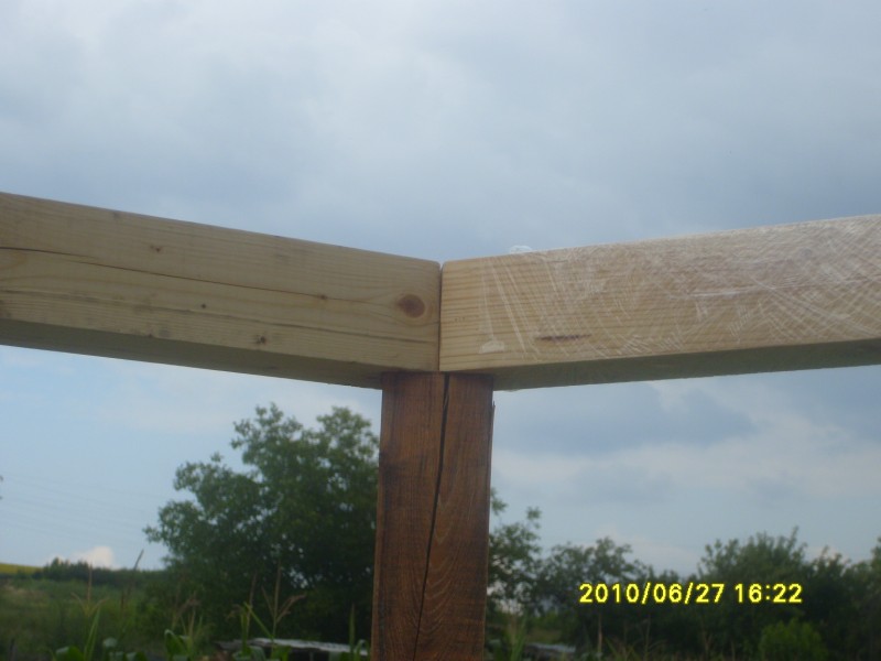 S7005311 [800x600].JPG