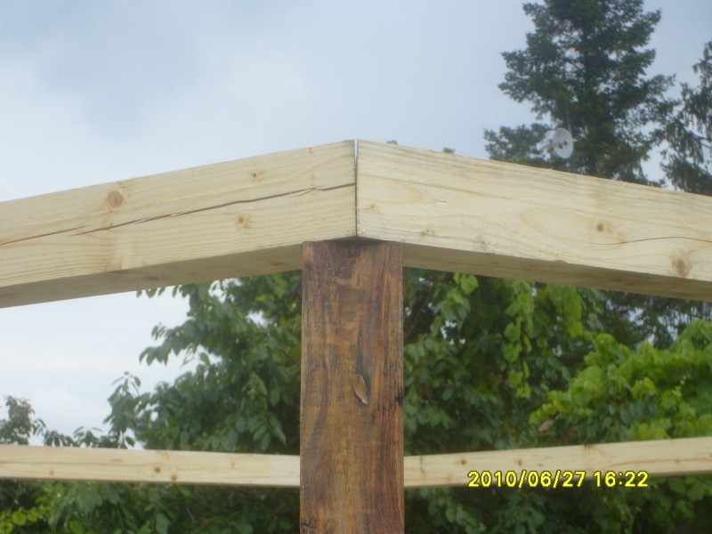 S7005310 [800x600].JPG