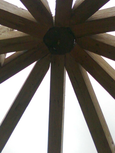 Изображение0049 [800x600].jpg