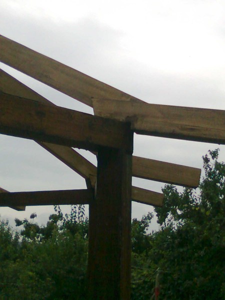 Изображение0047 [800x600].jpg