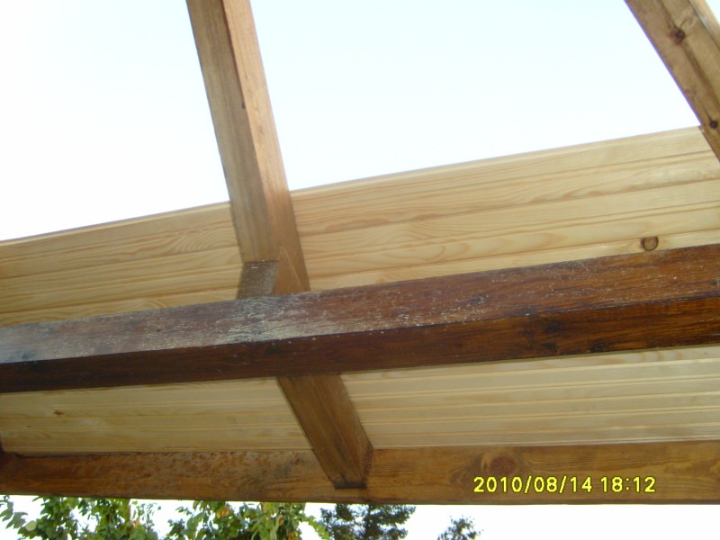 S7005717 [800x600].JPG