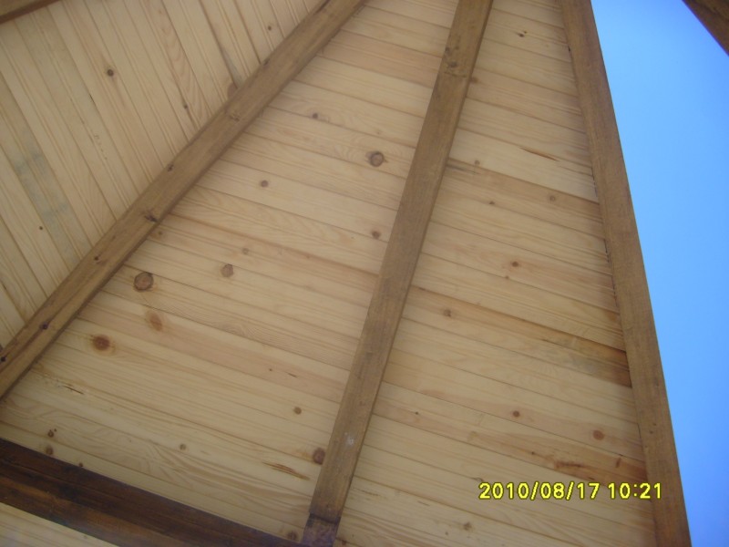 S7005758 [800x600].JPG