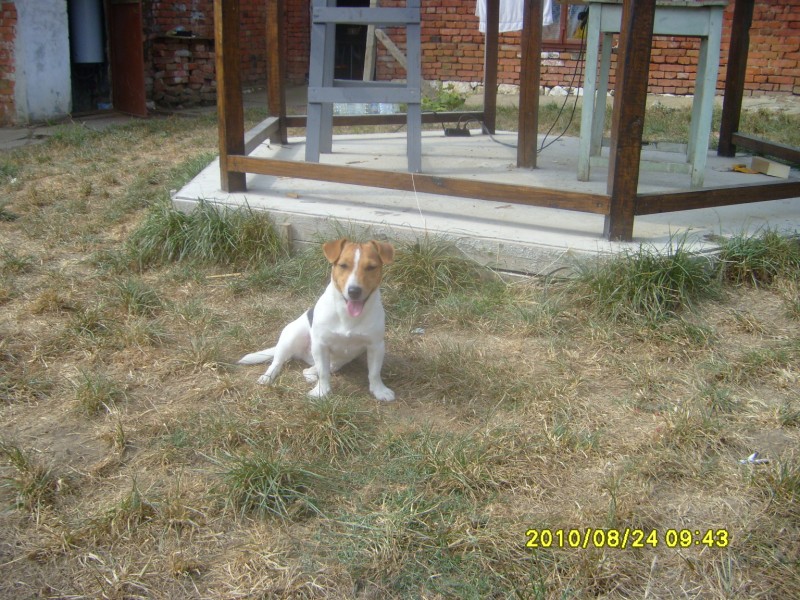 S7005930 [800x600].JPG