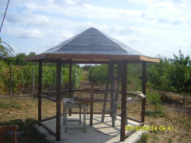 S7005925 [800x600].JPG