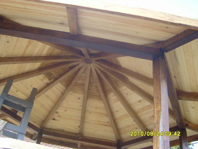 S7005928 [800x600].JPG