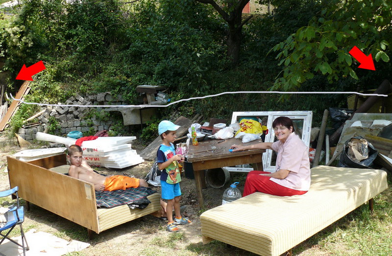 P1110641.jpg