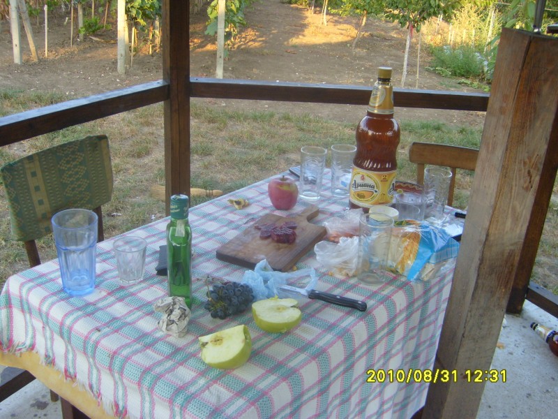 S7005999 [800x600].JPG