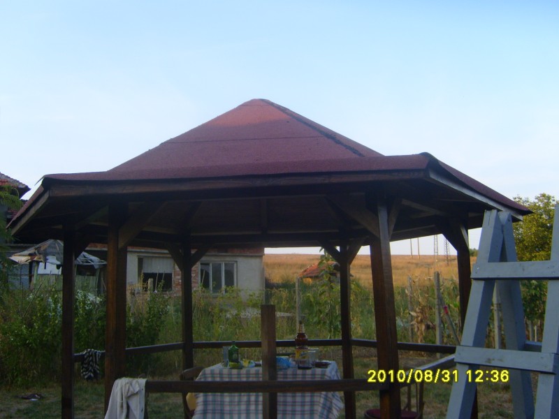 S7006008 [800x600].JPG