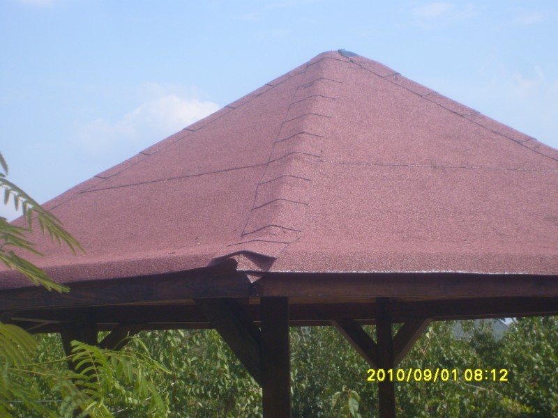 S7006019 [800x600].JPG