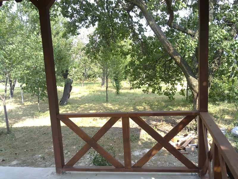 31082010028.jpg
