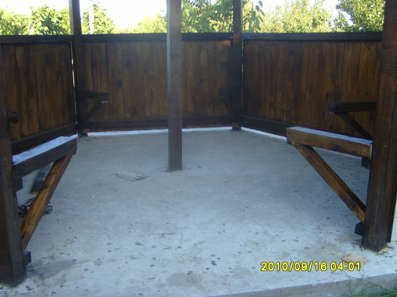 S7006154 [800x600].JPG