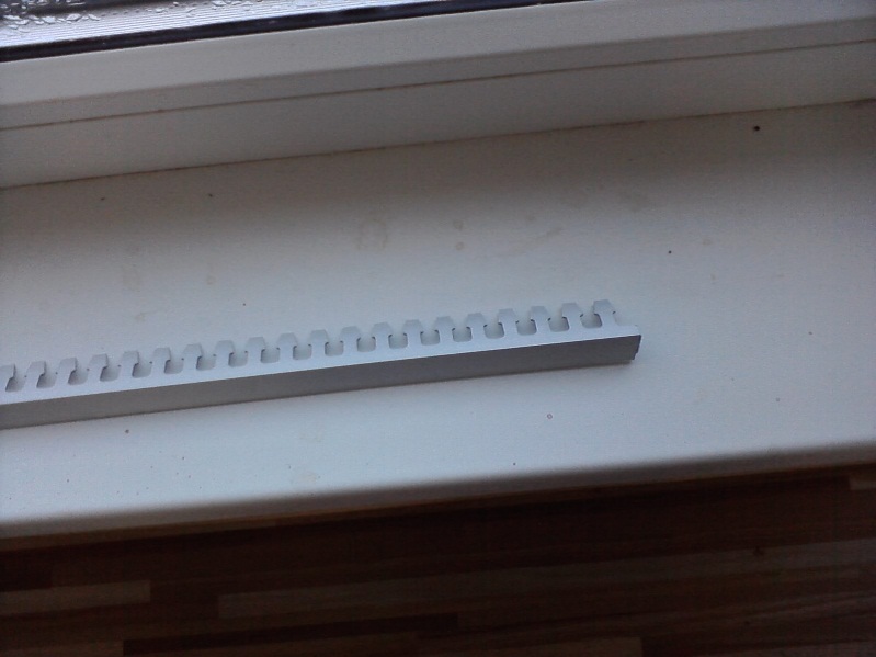 P221010_16.03.jpg