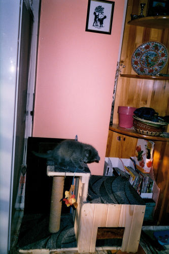 Negative0-04-02(1).jpg