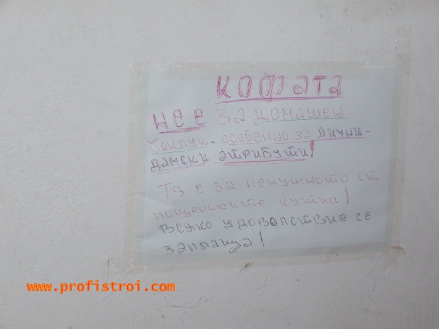 P1010728.jpg