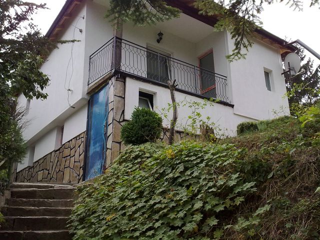 01092009023 [640x480].jpg