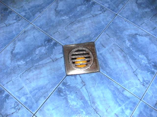 PICT0272.JPG