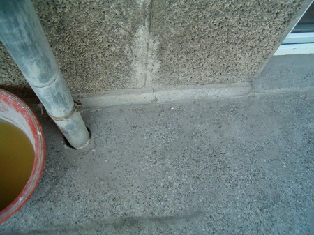 Tryba otichane na voda_resize.jpg