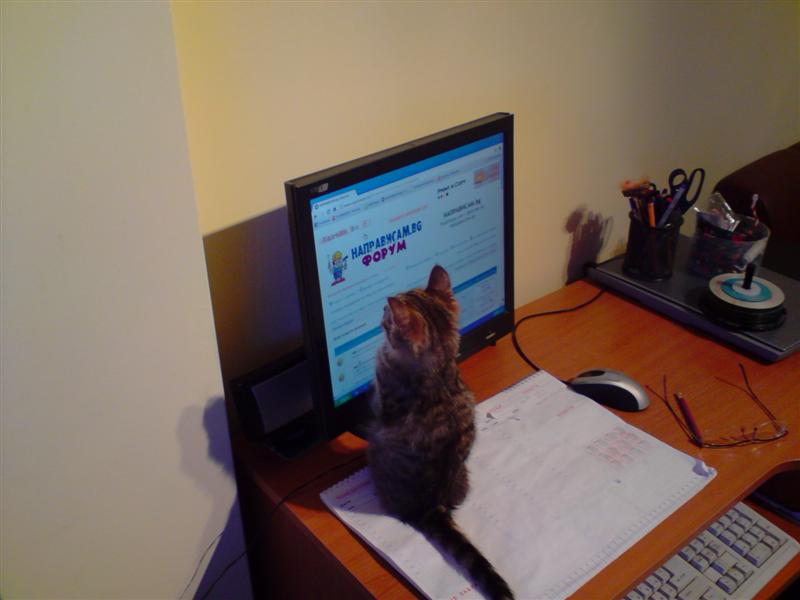 P080311_20.13 (Medium).JPG