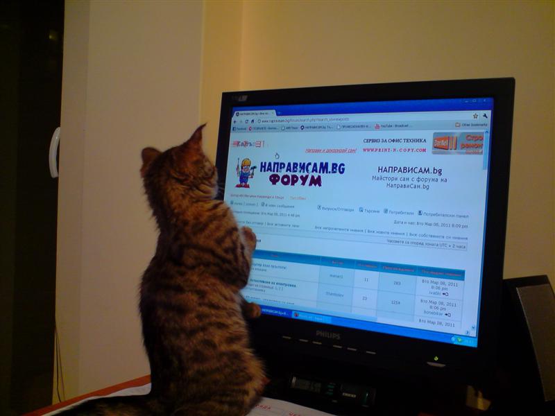 P080311_20.14 (Medium).JPG