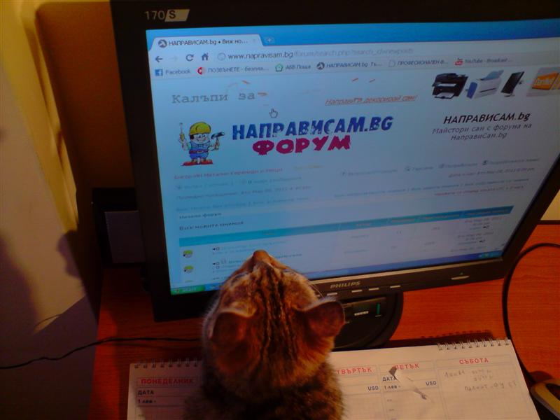 P080311_20.15 (Medium).JPG