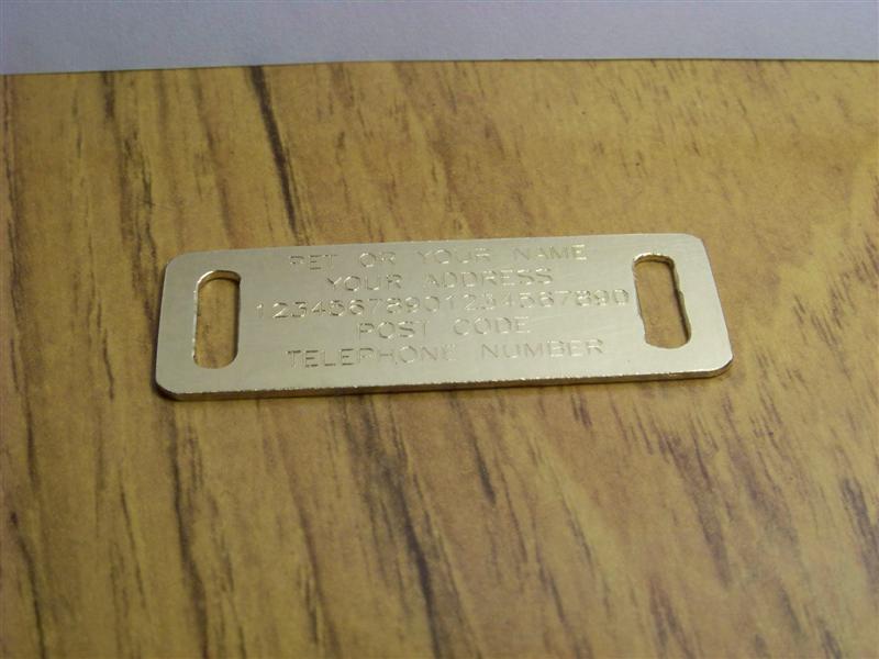 100_0924 (Medium).jpg