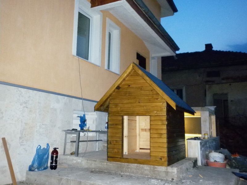P1000429.jpg
