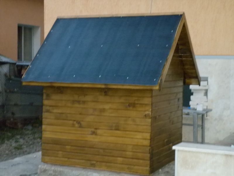 P1000426.jpg