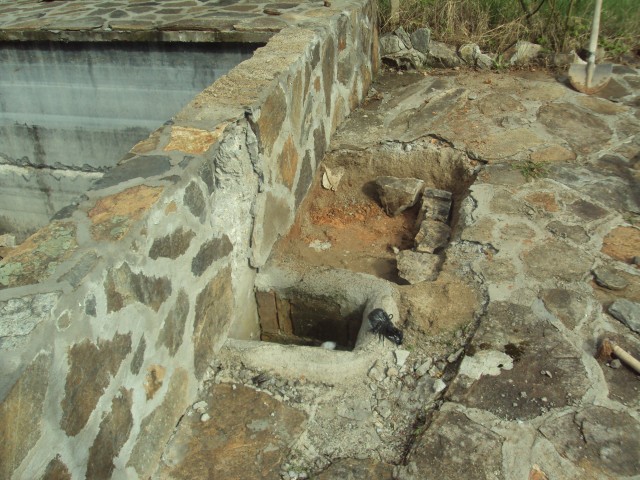 DSC05258.jpg