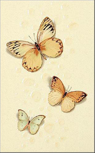 548_191nds250x400giallom3.jpg