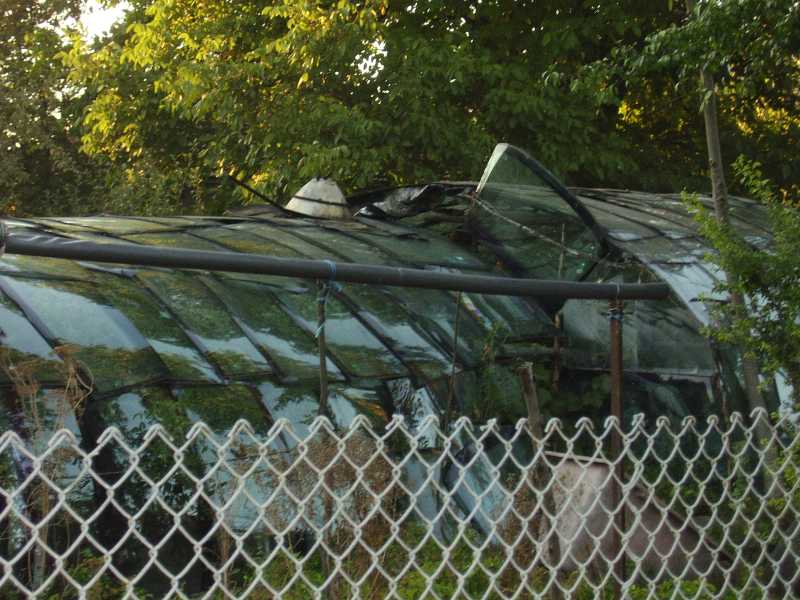 Оранжерия 1.jpg