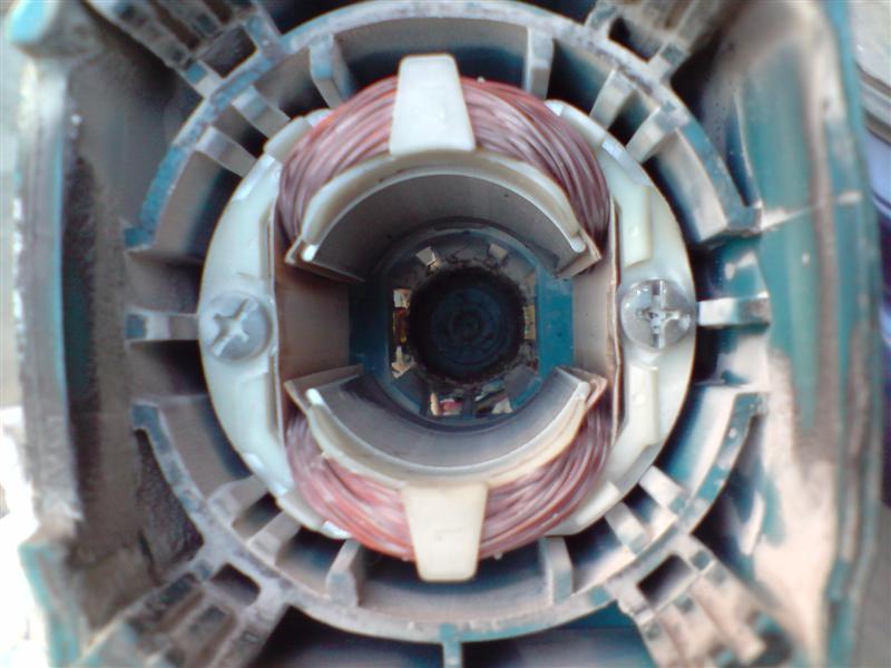 P061011_13.24[01] (Medium).JPG