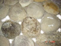 аа смалл аа .jpg