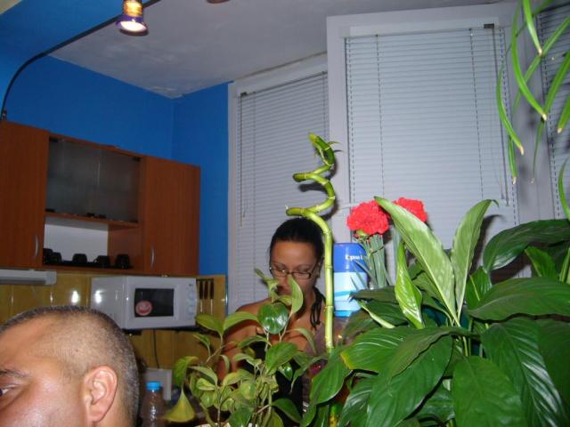 003993155.jpg